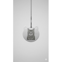 placa identificativa para gato personalizada con foto grabada