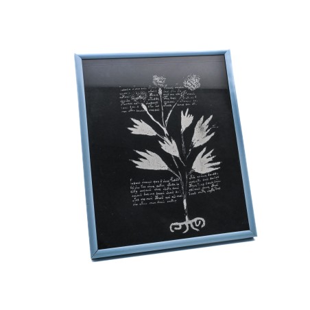 Cuadro vintage del Manuscrito Voynich con escritura antigua y planta